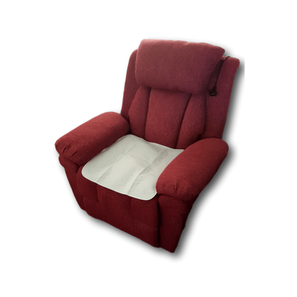 iCare Absorbent reusable Seat Pads
